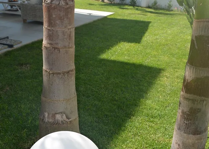 Elisabetta Torre Santa Sabina