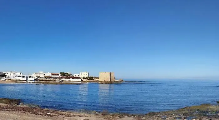 Elisabetta Torre Santa Sabina