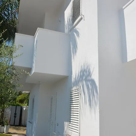 Elisabetta Villa