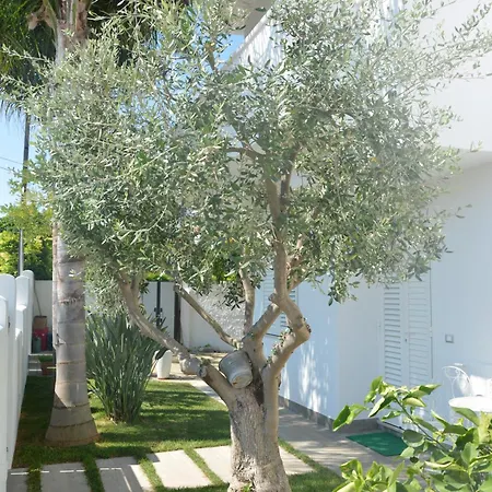 Elisabetta Villa