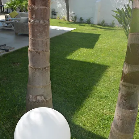 Elisabetta Torre Santa Sabina