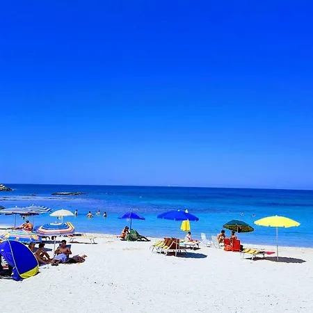 Elisabetta Torre Santa Sabina